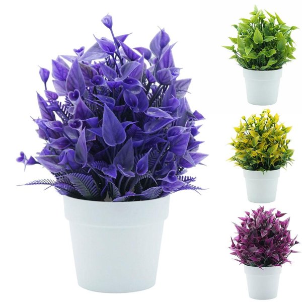 Цветущие горшочные цветы