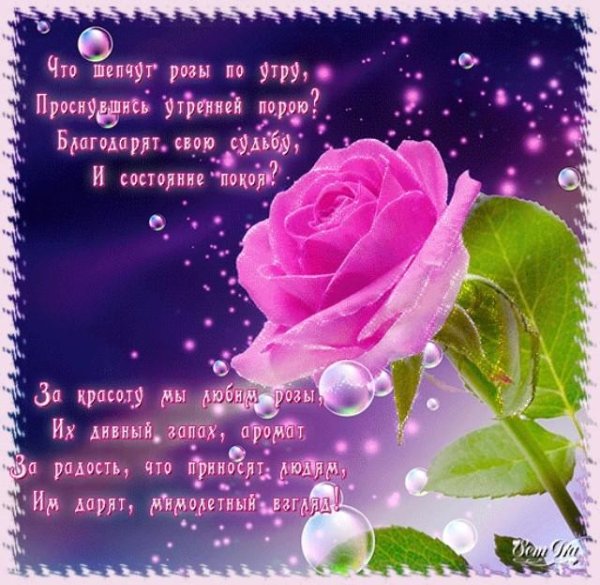 Красивые открыткисо сттхами