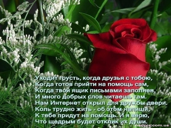 Прекрасные стихи