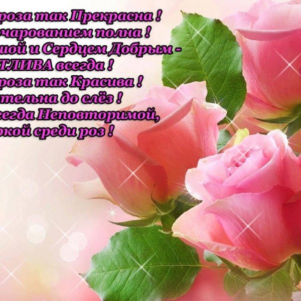 Красивые комплименты девушке