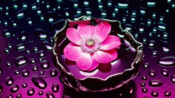 Романтические цветы