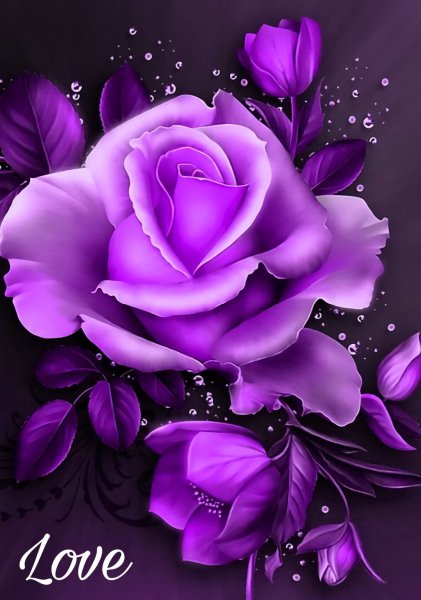 Фотообои на телефон цветы