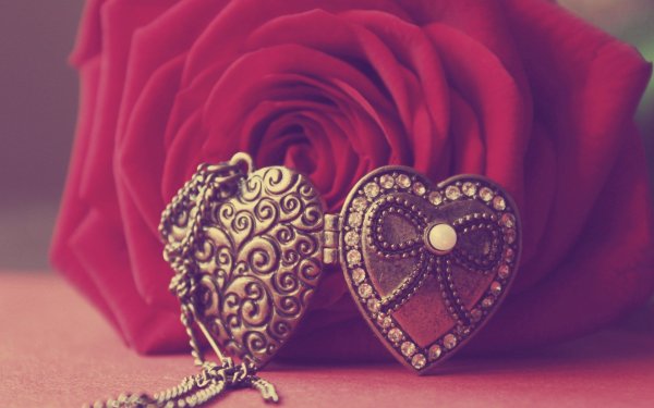 Открытка с цветами и бабочками