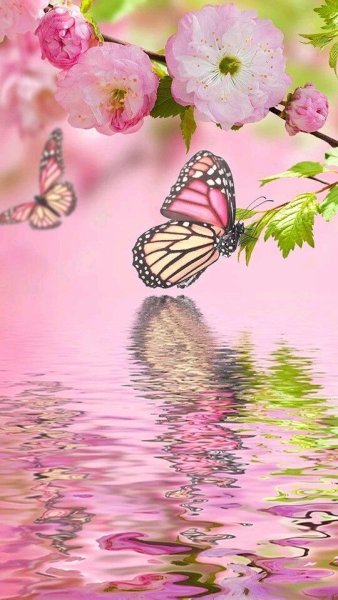 Нежные обои