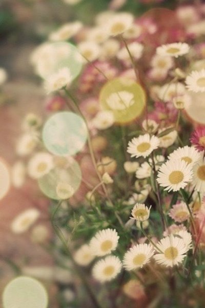 Красивые обои на рабочий Сток