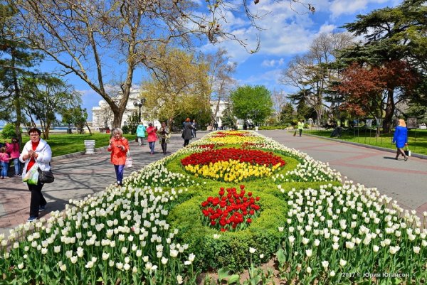 Парк Победы Севастополь цветение тюльпанов