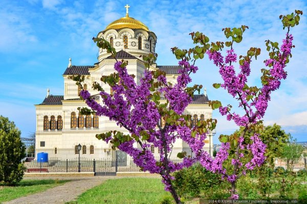 Севастополь Весна Югансон