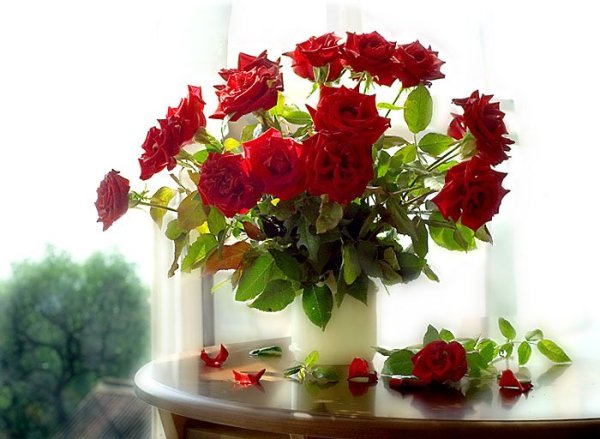 Цветы для настроения