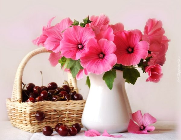 Полевые цветы Анютины глазки