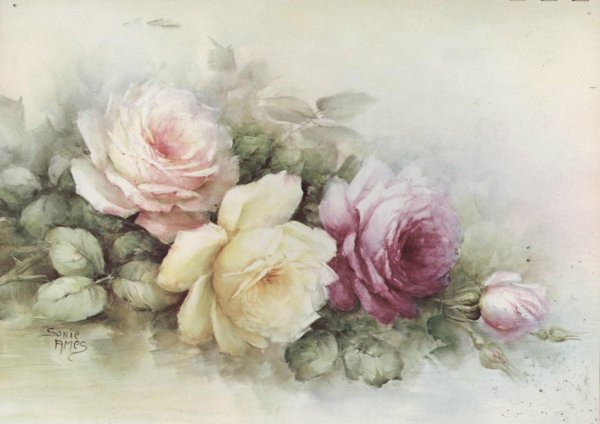 Картины Sonie Ames