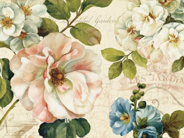 Цветы Lisa Audit