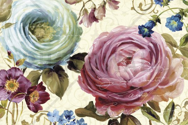 Цветы Lisa Audit