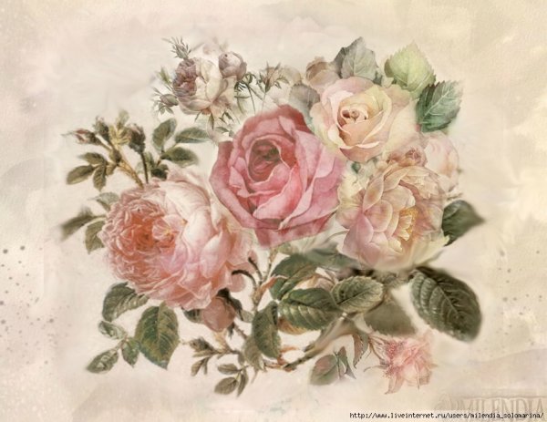 Розы в винтажном стиле