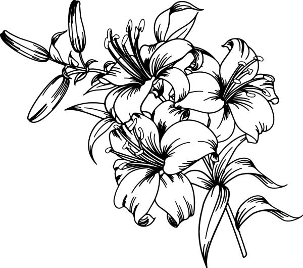 Цветы svg