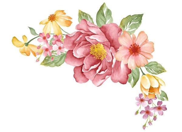 Цветы акварелью на белом фоне