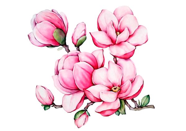 Нарисованные цветы на белом фоне