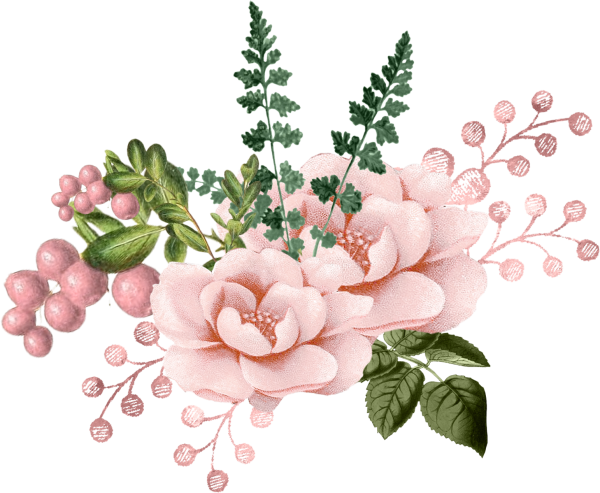 Цветы иллюстрация на белом фоне