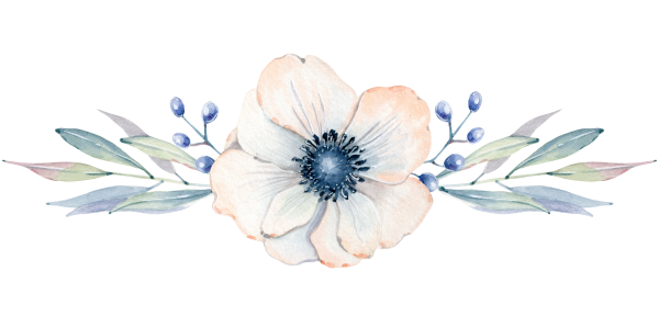 Акварельные цветы на белом фоне