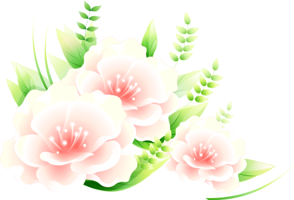 Цветы на прозрачном фоне