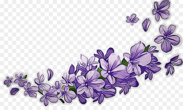 Фиолетовые цветы на прозрачном фоне