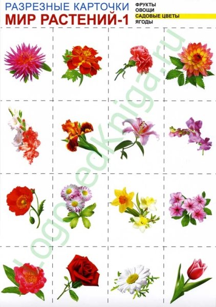Карточки цветы