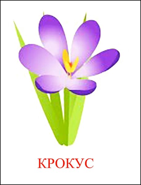 Карточки с изображением цветов