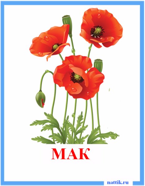 Карточки с изображением цветов