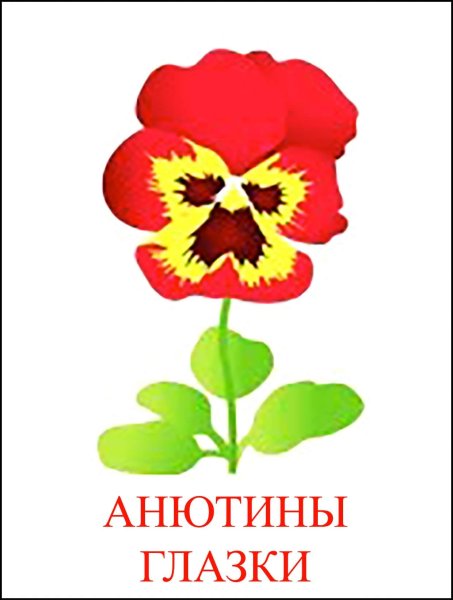 Рисунок цветка с названием для детей