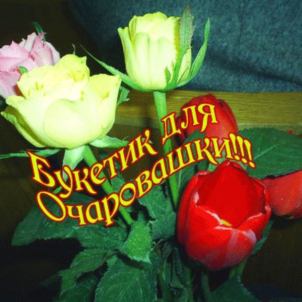 Красивые цветы для девушки с надписями