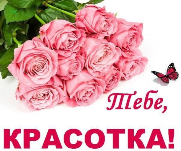 Тебе красотка