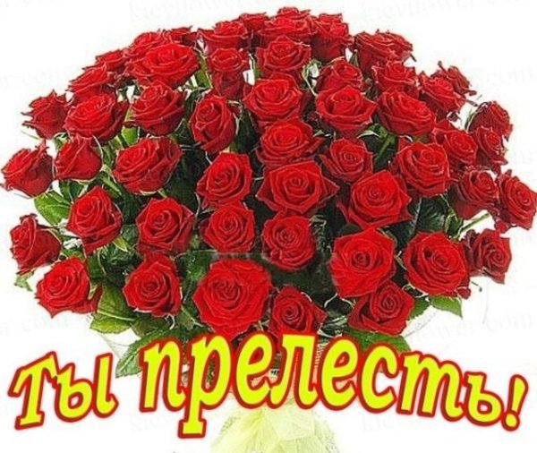 Розы для самой красивой девушки