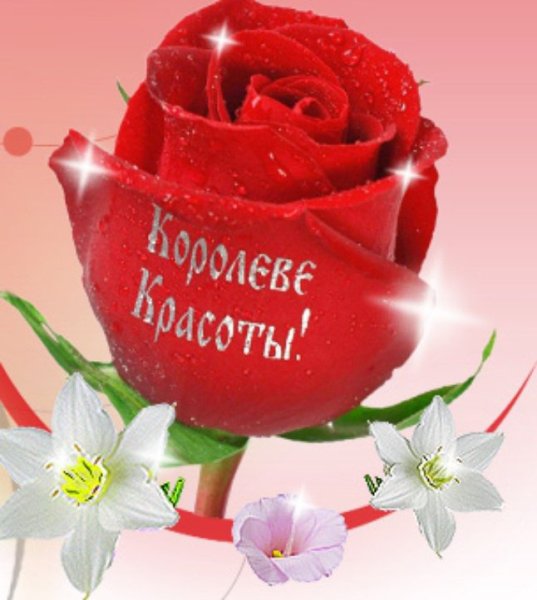 Розы для самой красивой девушки