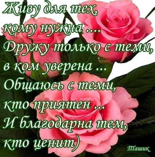 Цветы подарок статусы