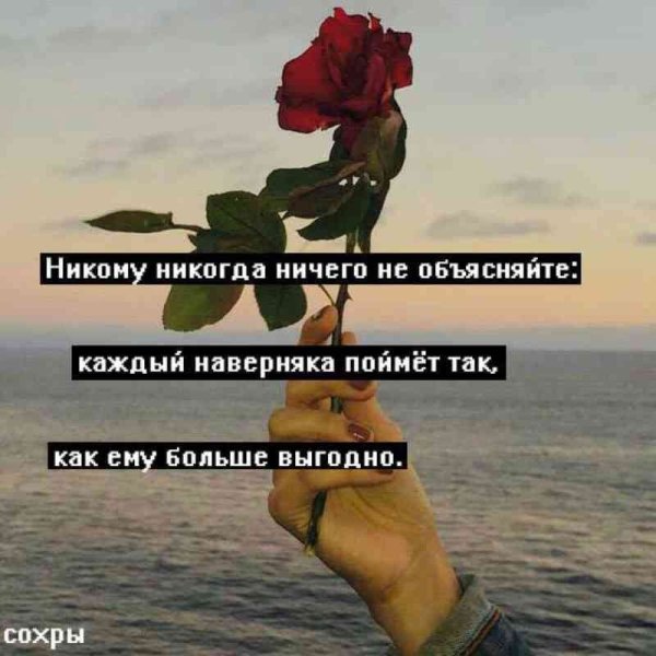 Красивые цветы на телефон