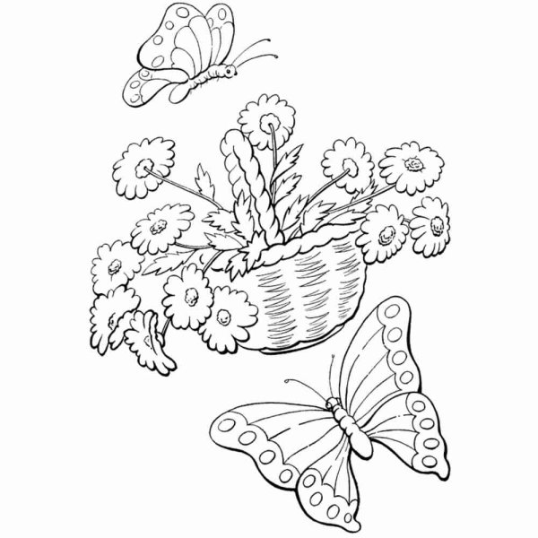 Бабочка на цветочке раскраска