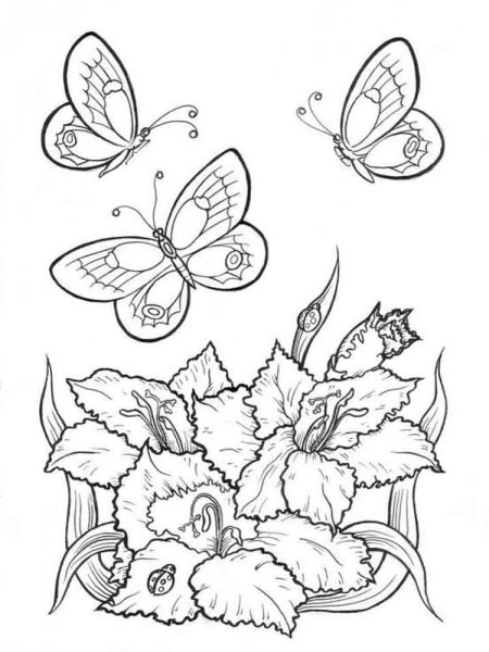 Раскраска антистресс цветы и бабочки