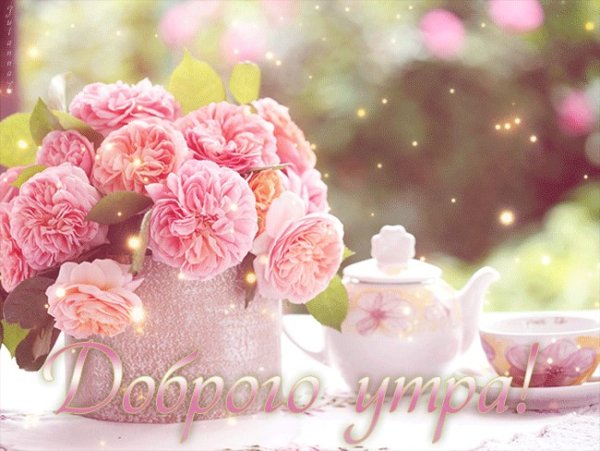 Доброе утро пионы
