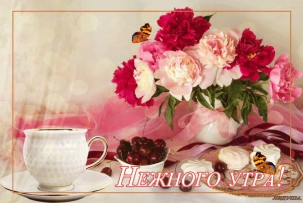 Доброе утро пионы