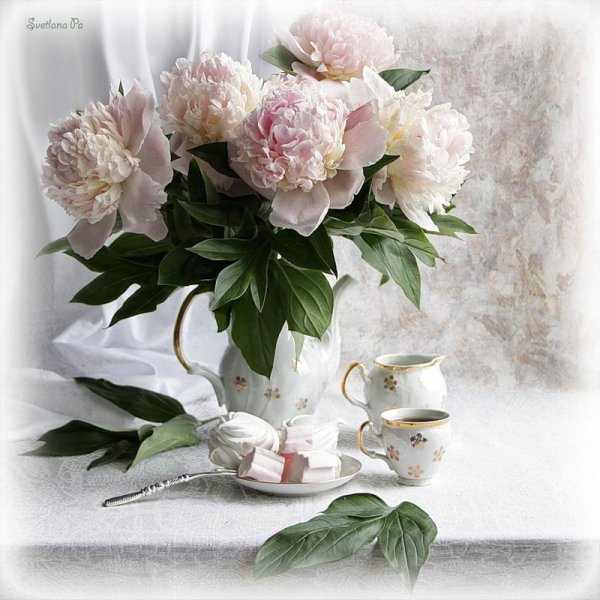 Хорошего дня пионы