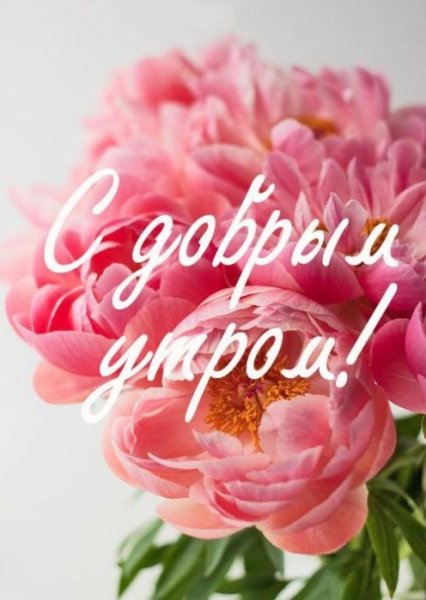 Доброе утро пионы пожелания