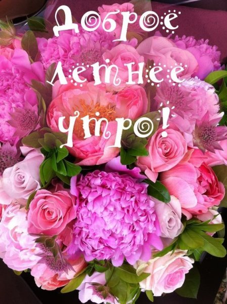 С добрым утром пионы