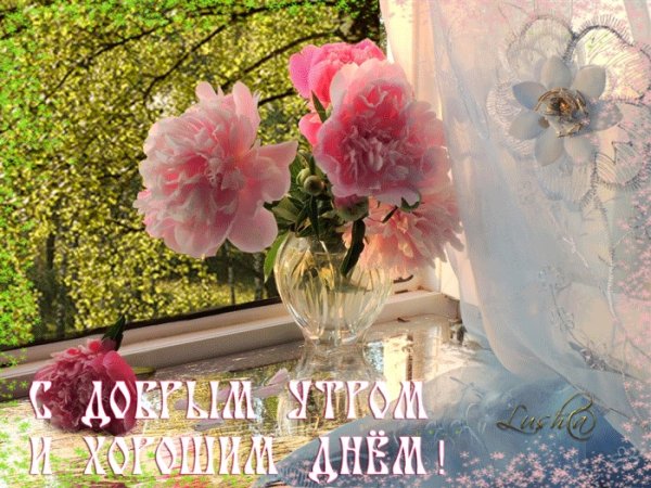 Добрый день пионы с пожеланиями