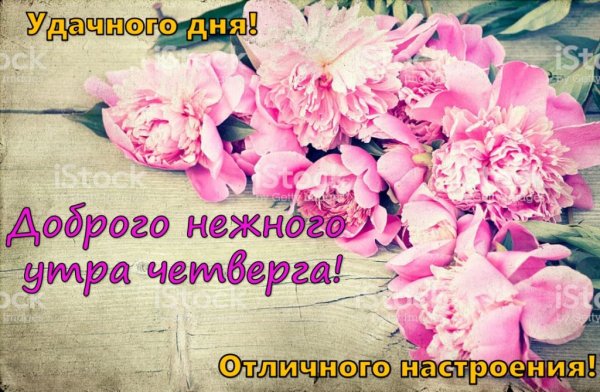 Доброе утро пионы с надписью