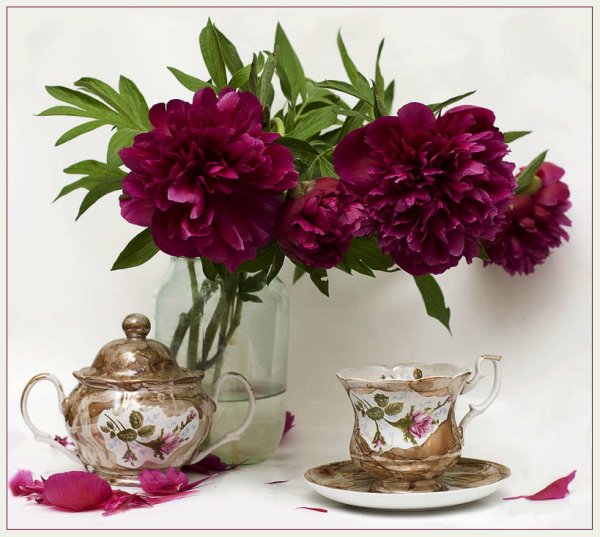 Пионовое настроение