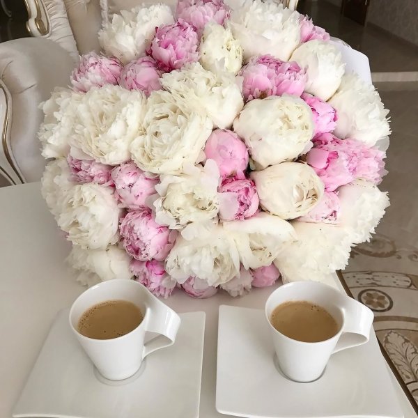 Доброе утро с пионамиами