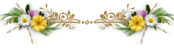 Цветочные бордюры на прозрачном фоне