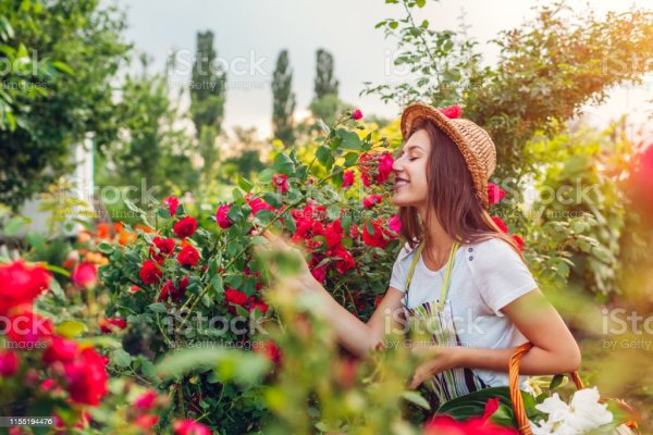 Девушка нюхает цветы в саду