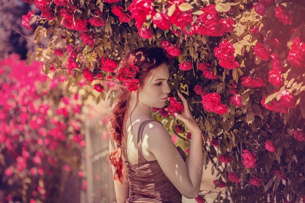 Девушка с сиренью