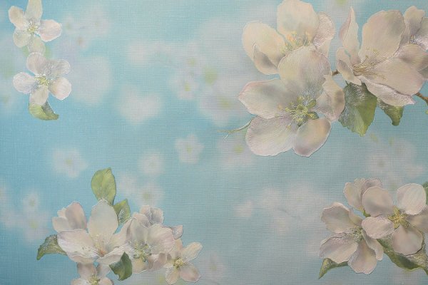 Элизиум Элли 26003