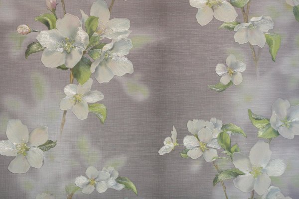 Elysium Элли е26004